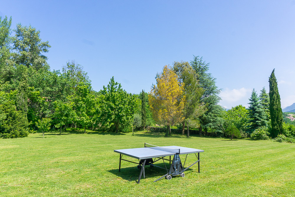 table ping-pong